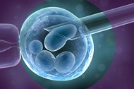 Egg-Freezing-NHFC-1-blog