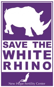 white-rhino2 (1)