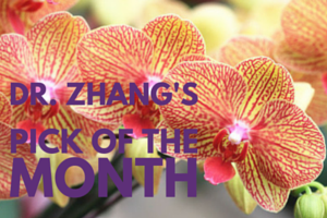 Pick of the Month (3)