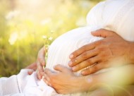 21471863 - close up of human hands holding pregnant belly