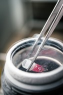 Cryopreservation