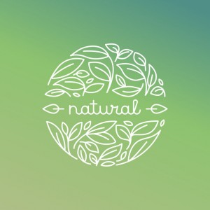 Vector natural label in trendy linear style