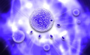 30177403 - digital illustration of sperm and ovule in colour background